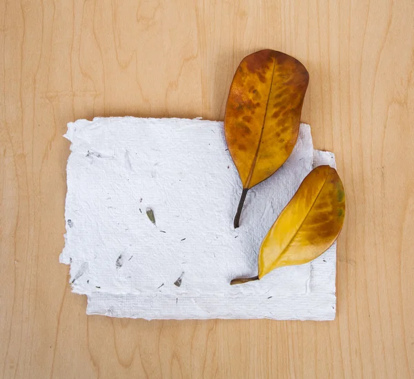 Background with leaves and papers — Stock Photo, Image