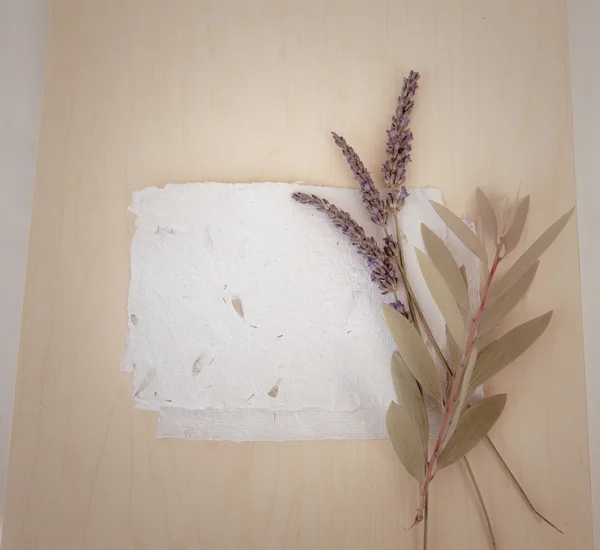 Hintergrund mit Lavendel, Blättern und Papier — Stockfoto