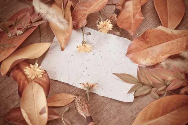 Background with dry leaves and paper — Stock Photo, Image