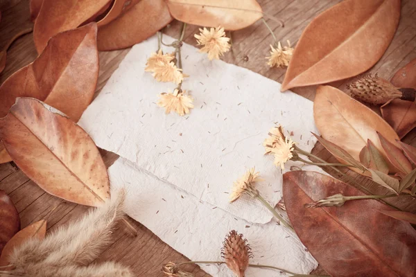Background with leaves and  papers — Stock Photo, Image