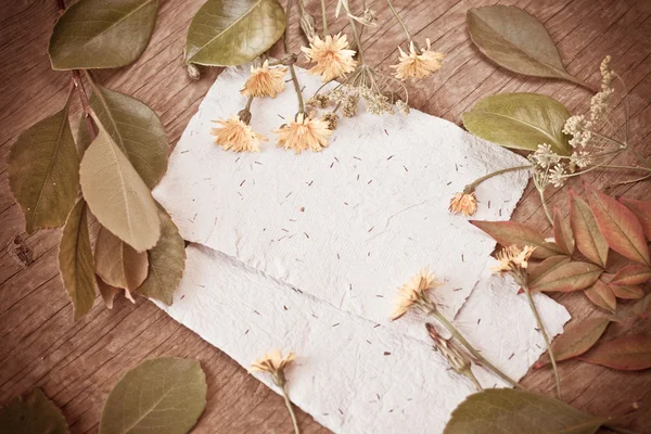 Yaprakları ve kağıtları arka plan — Stok fotoğraf