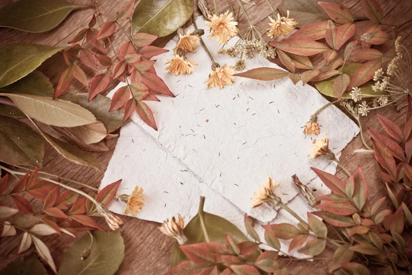 Background with leaves of magnolia and papers — Stok fotoğraf