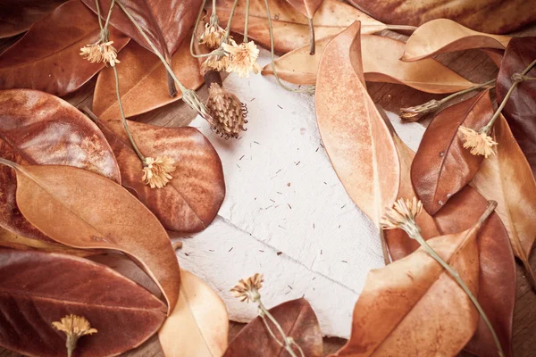 Autumn background with leaves and papers — Stock Photo, Image