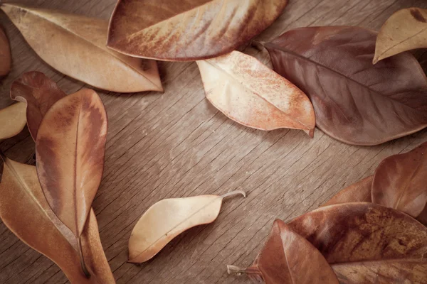 Fondo de otoño con hojas — Foto de Stock