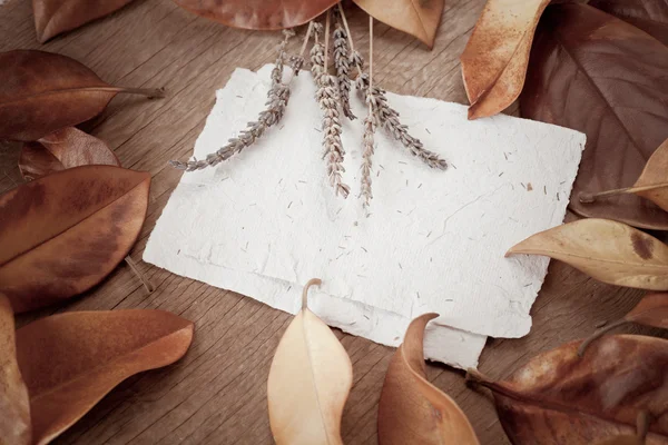 Background with leaves and white paper — Stock fotografie