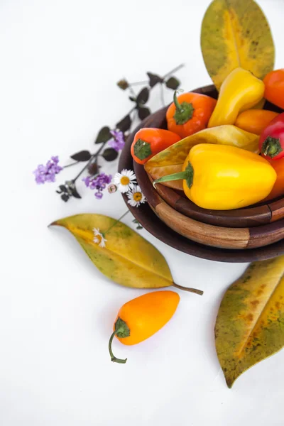 Little peppers, autumn leaves — Stock Photo, Image