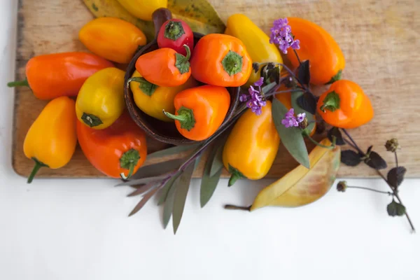 Petits poivrons aux feuilles d'automne — Photo