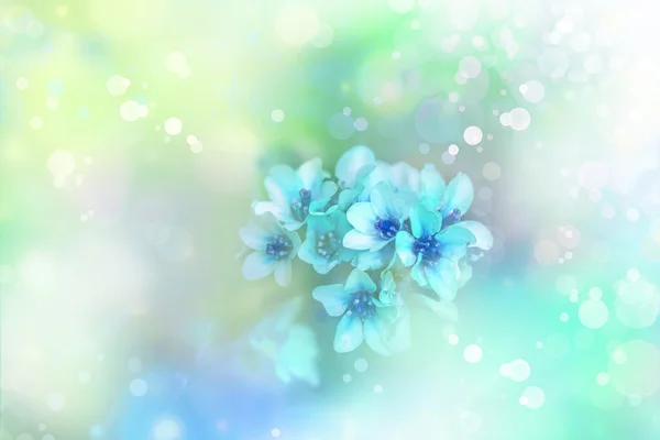Fiore verde blu — Foto Stock