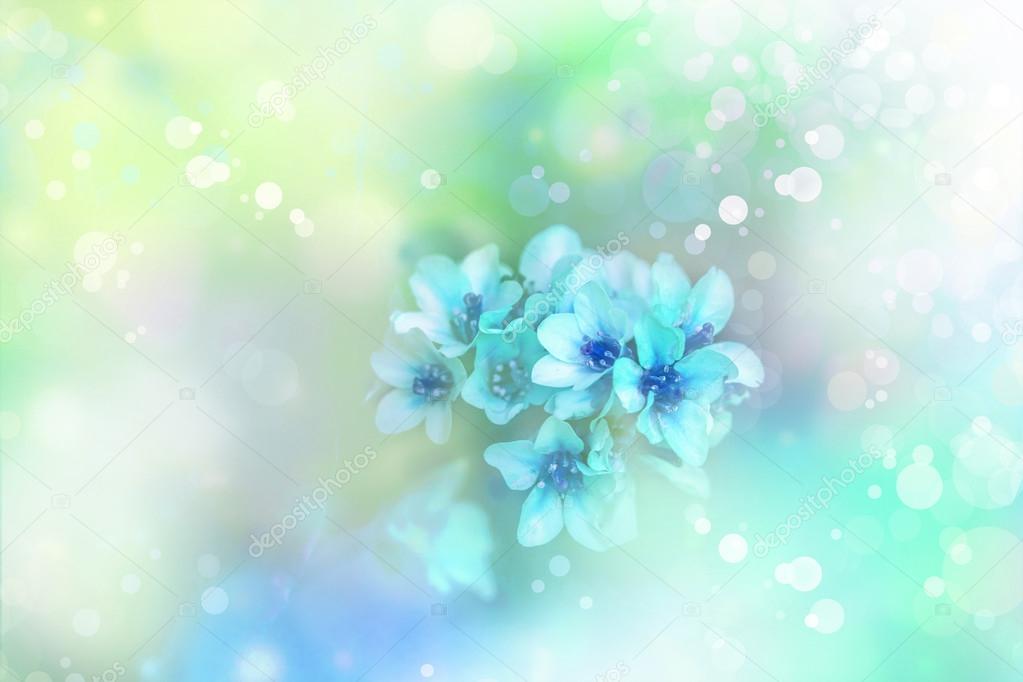 Green blue flower