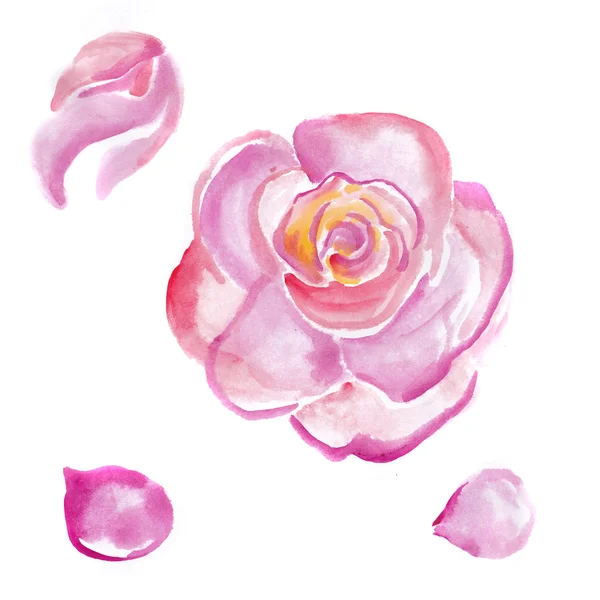 Рожева квітка та елементи — стокове фото