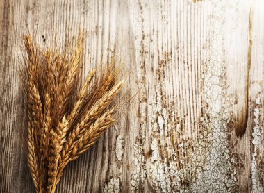Spikelets buğday eski ahşap tablo