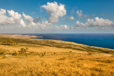 Okyanus ve dağ, ada Maui, Hawaii