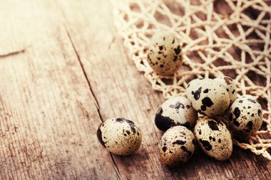 bıldırcın yumurtası ahşap tablo