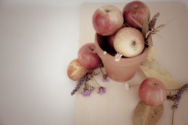 Elma, yaprakları ile arka plan