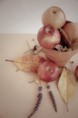 Elma, yaprakları ile arka plan