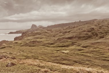 Dağ manzarası ile Pasifik Okyanusu