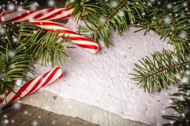 Çam ağacı dalları şekerler ile