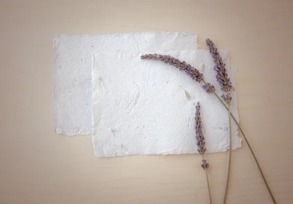 Background with lavender and papers — Stock Photo, Image