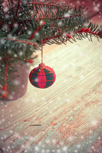 Branch fir tree with ball — Stock Photo, Image