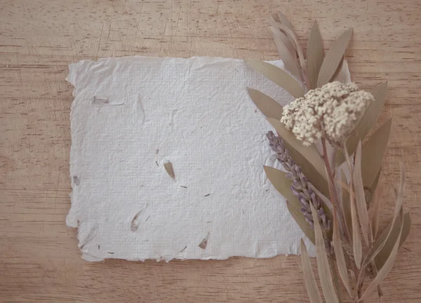 Flores secas y papel blanco vintage —  Fotos de Stock