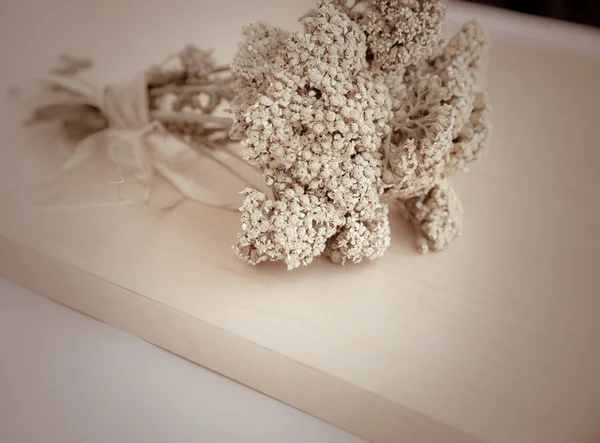 Pacote de flores secas — Fotografia de Stock