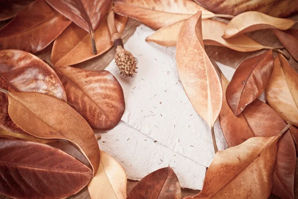 Hojas y papeles de otoño — Foto de Stock