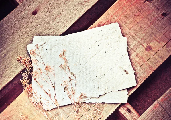 Büttenpapier und trockene Kräuter — Stockfoto