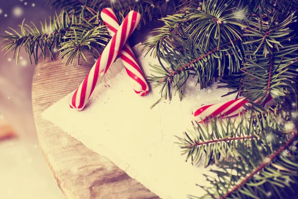 Tannenzweige mit Zuckerstangen — Stockfoto