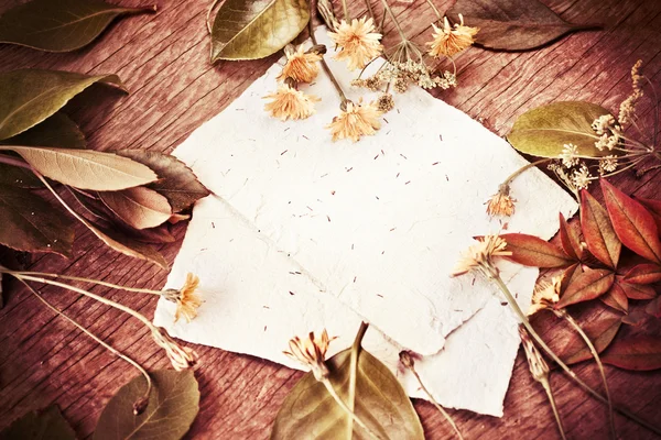 Feuilles, fleurs et papiers — Photo