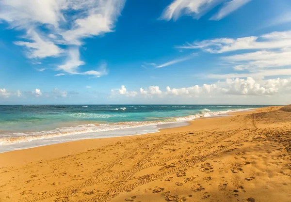 아름다운 해변 과 열 대 바다 — 스톡 사진