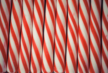 şeker kamışı arka plan