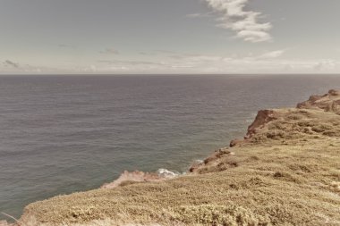 Dağ manzarası ile Pasifik Okyanusu