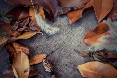 Yapraklı sonbahar arkaplanı