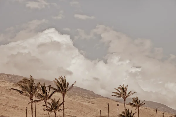 Palmeras, montañas, cielo gris y nubes —  Fotos de Stock