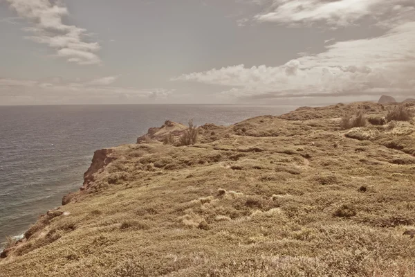 Mountain landscape with pacific ocean — Stock Photo, Image