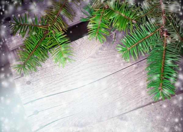 Çam dalları ile arka plan — Stok fotoğraf