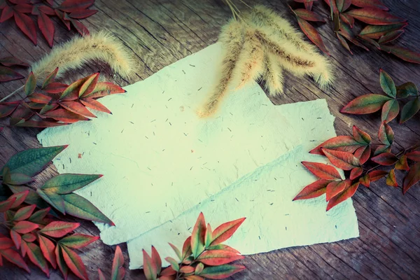 Autumn Leaves and  papers — Stock Photo, Image