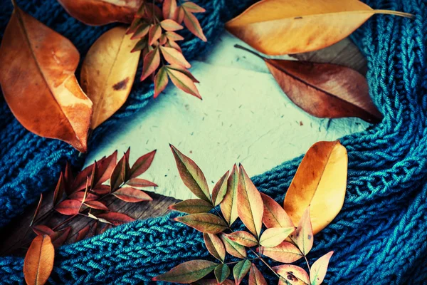 Bufanda, hojas de otoño y libros blancos —  Fotos de Stock