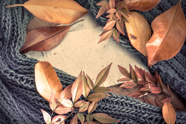 Sjaal, herfst bladeren en white papers — Stockfoto