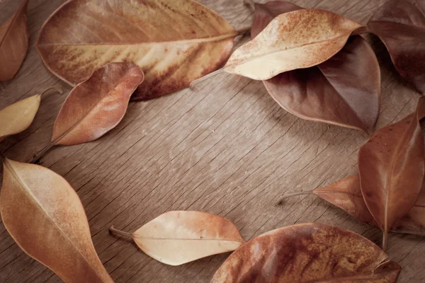 Fondo de otoño con hojas — Foto de Stock