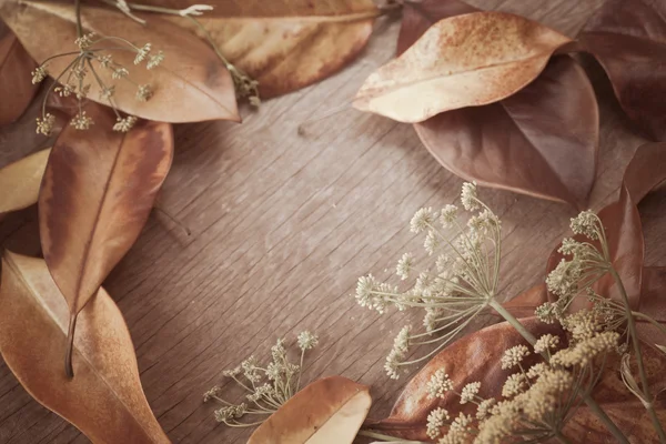 Herbst Hintergrund mit Blättern — Stockfoto