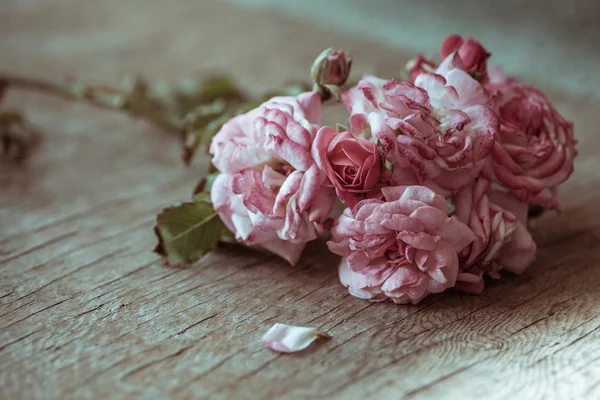 Roses roses sur table en bois — Photo