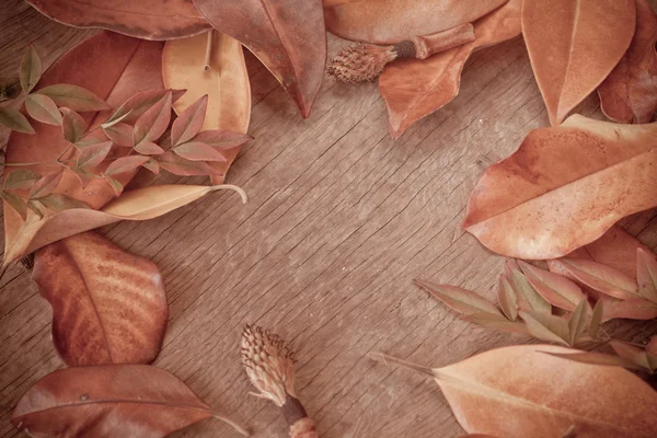 Herfst achtergrond met bladeren — Stockfoto