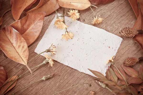 Bladeren, bloemen en papier — Stockfoto