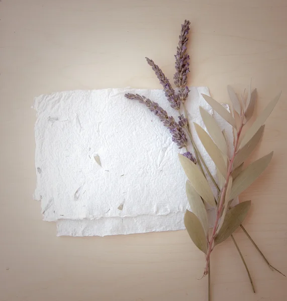 Achtergrond met lavendel, bladeren en papieren — Stockfoto