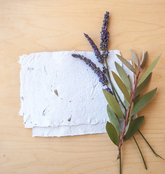 Achtergrond met lavendel, bladeren en papieren — Stockfoto