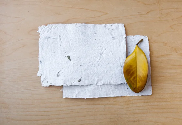 Autumn Leaf and papers — Stock Photo, Image