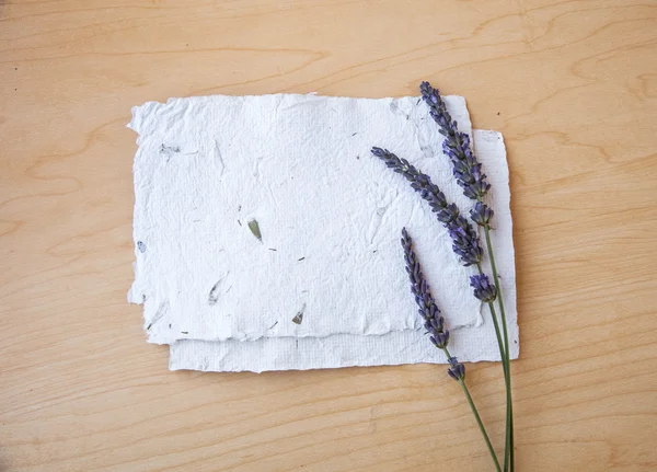 Achtergrond met lavendel en papieren — Stockfoto