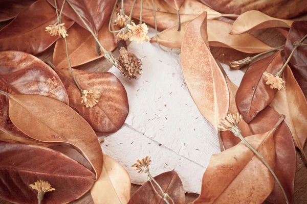 Leaves, flowers and  papers — Stock Photo, Image