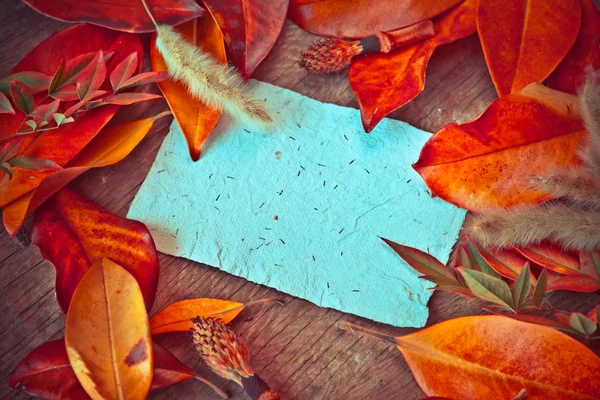 Autumn Leaves and  paper — Stock Photo, Image